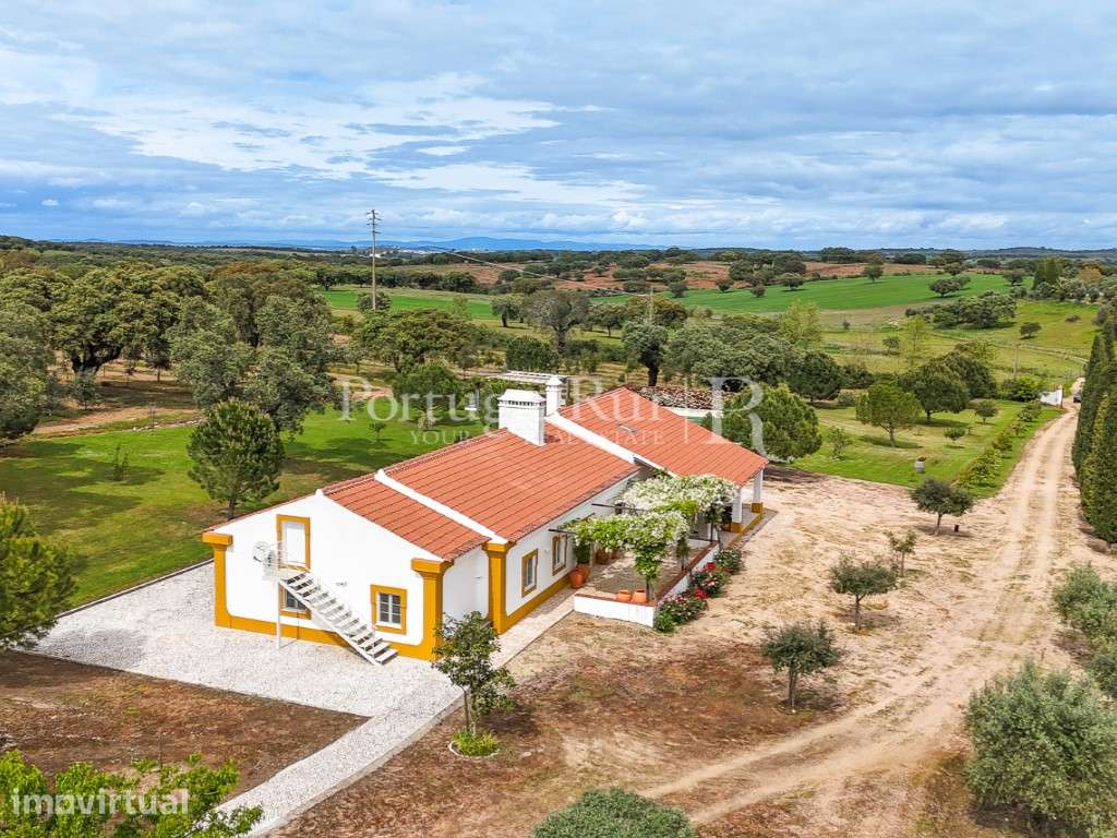 Propriedade de Luxo com Vinha e Potencial de Turismo em Estremoz, n... - Grande imagem: 5/60
