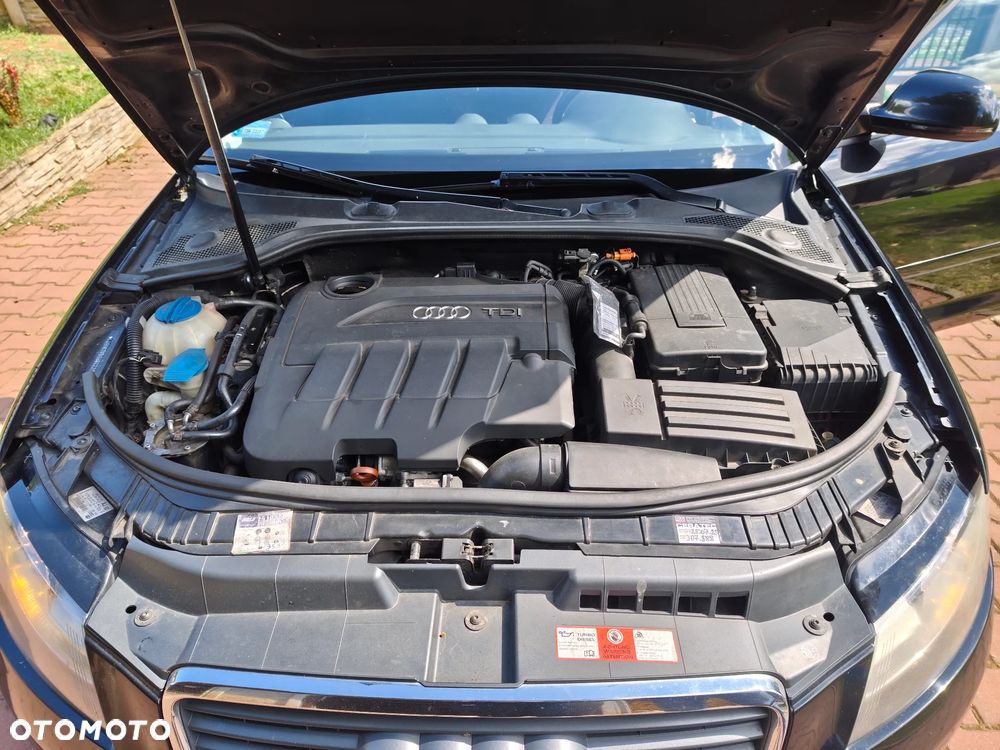 Audi A3 3-drzwiowe 2.0 TDI DPF Ambiente - 11