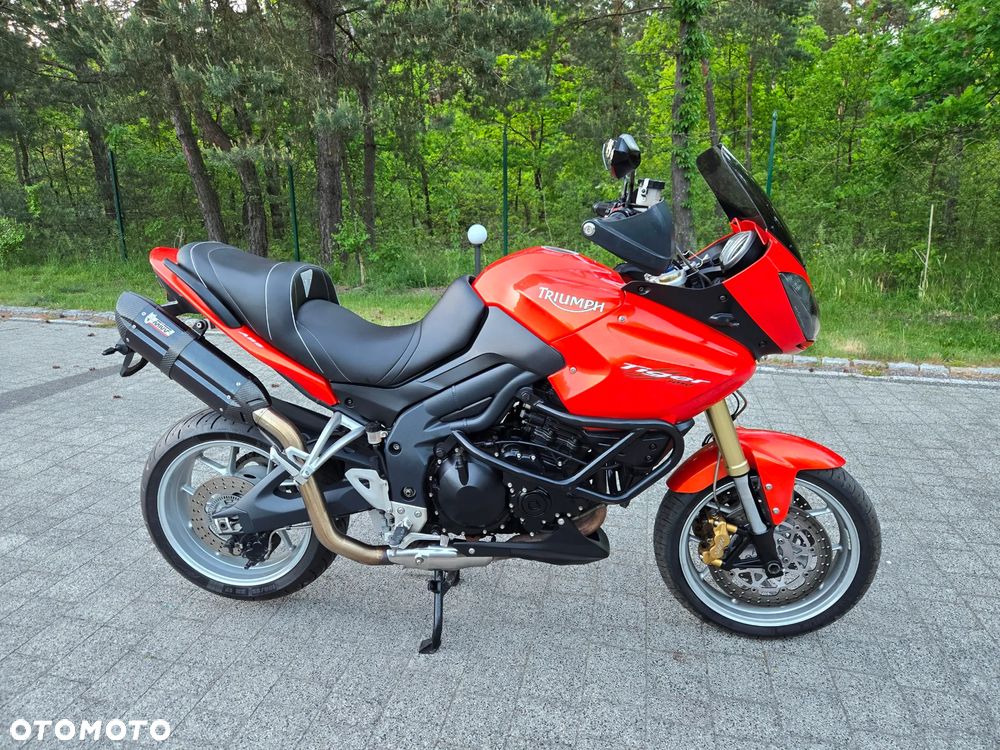 Triumph Tiger - 4