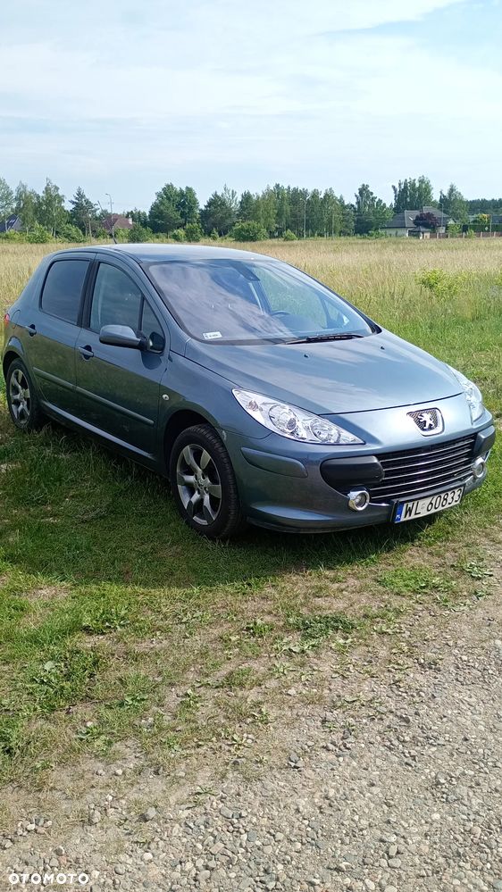 Peugeot 307 1.6 Sporty (kla) - 3