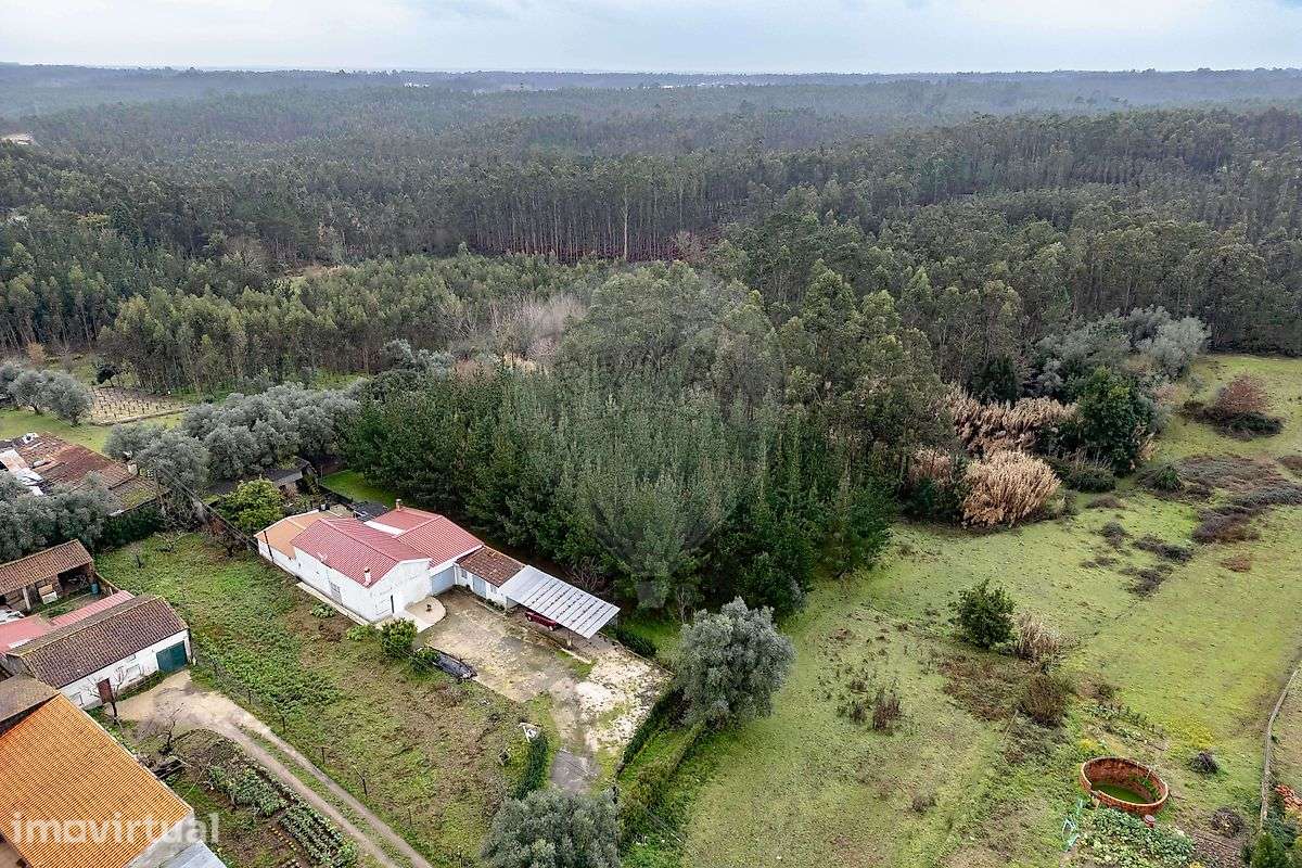 Terreno  para venda - Grande imagem: 3/10