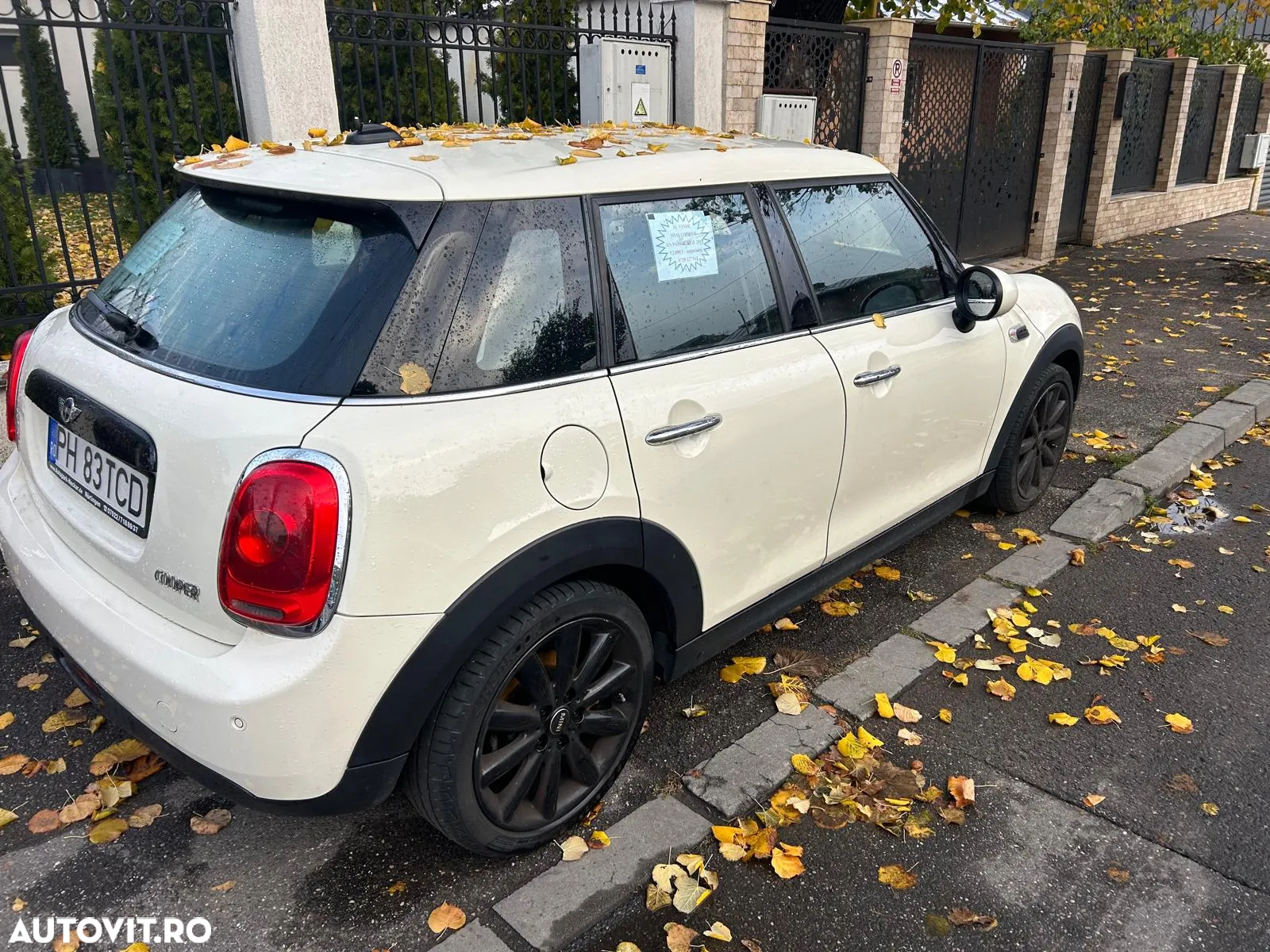 Mini Cooper - 10