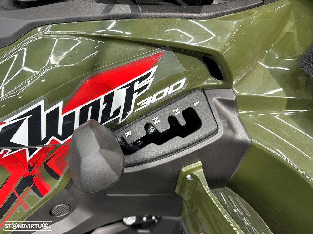 Loncin XWOLF 300 FO T3B - 12