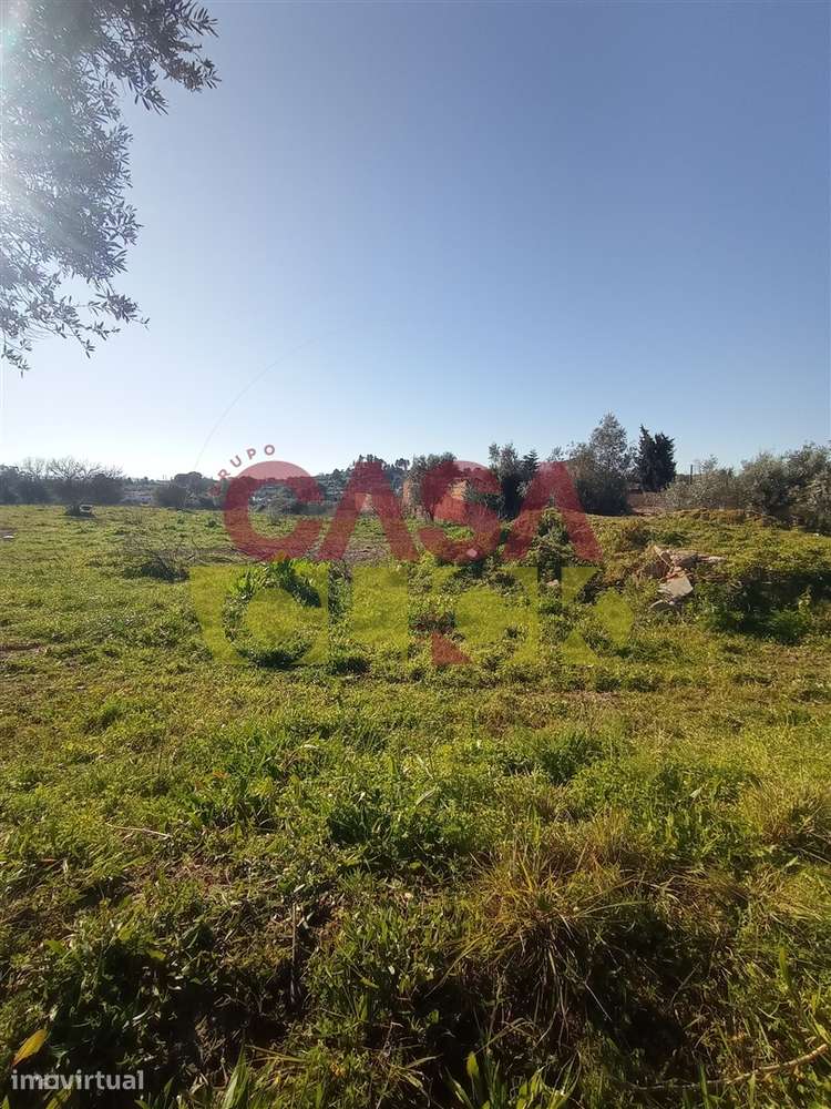 Lote de Terreno T4 Venda em Torres Novas (Santa Maria, Salvador e Sant - Grande imagem: 3/13