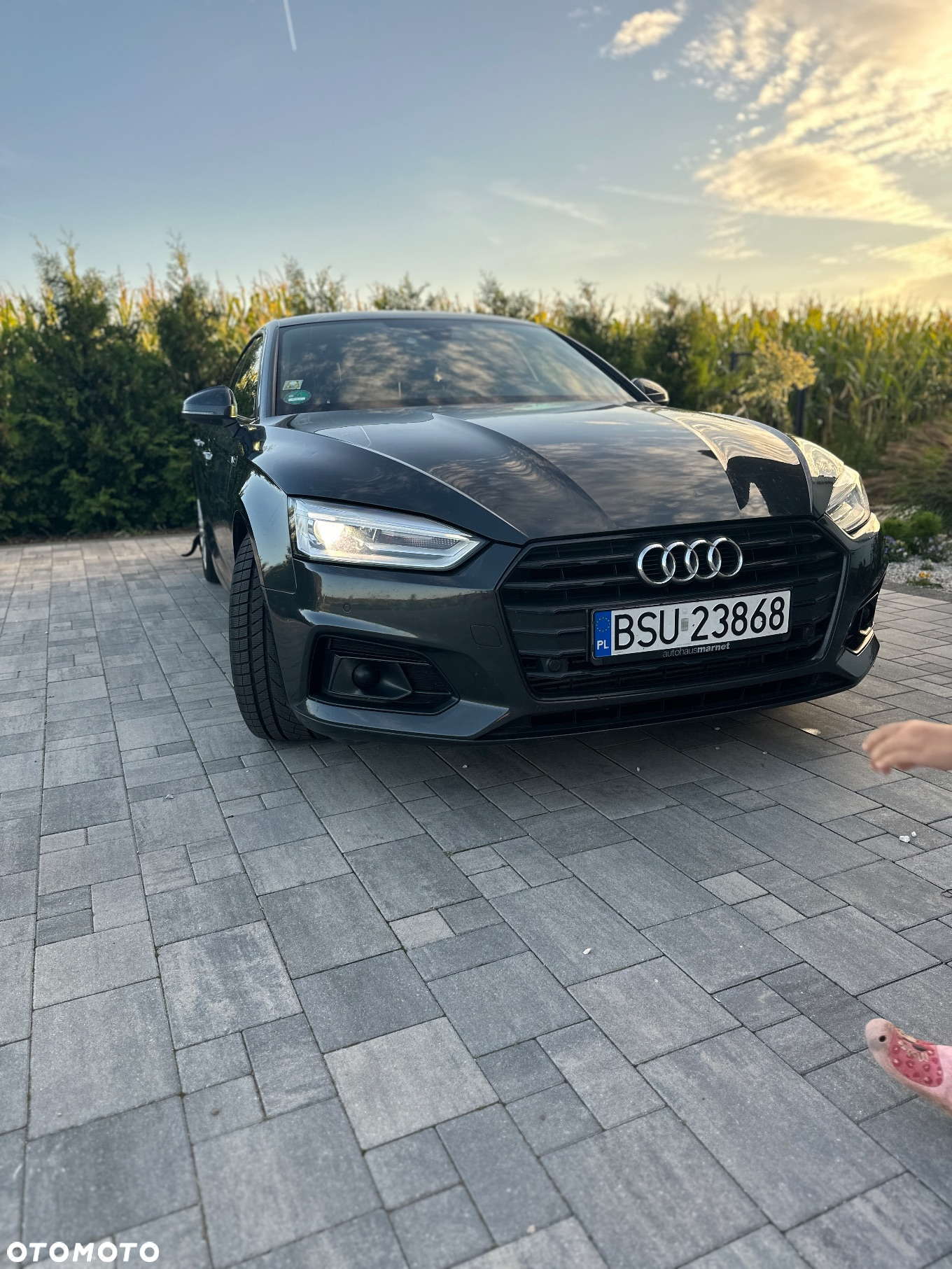 Audi A5 ver-2-0-tfsi-sport-s-tronic - 2