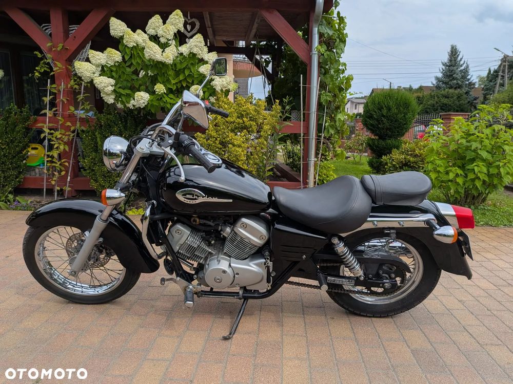Honda Shadow - 3