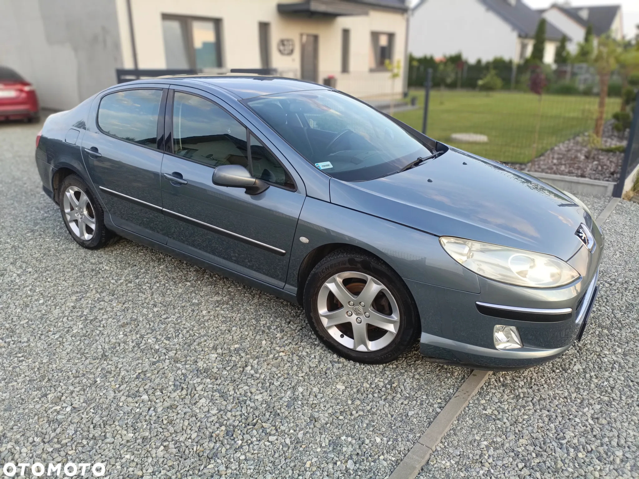 Peugeot 407 - 13