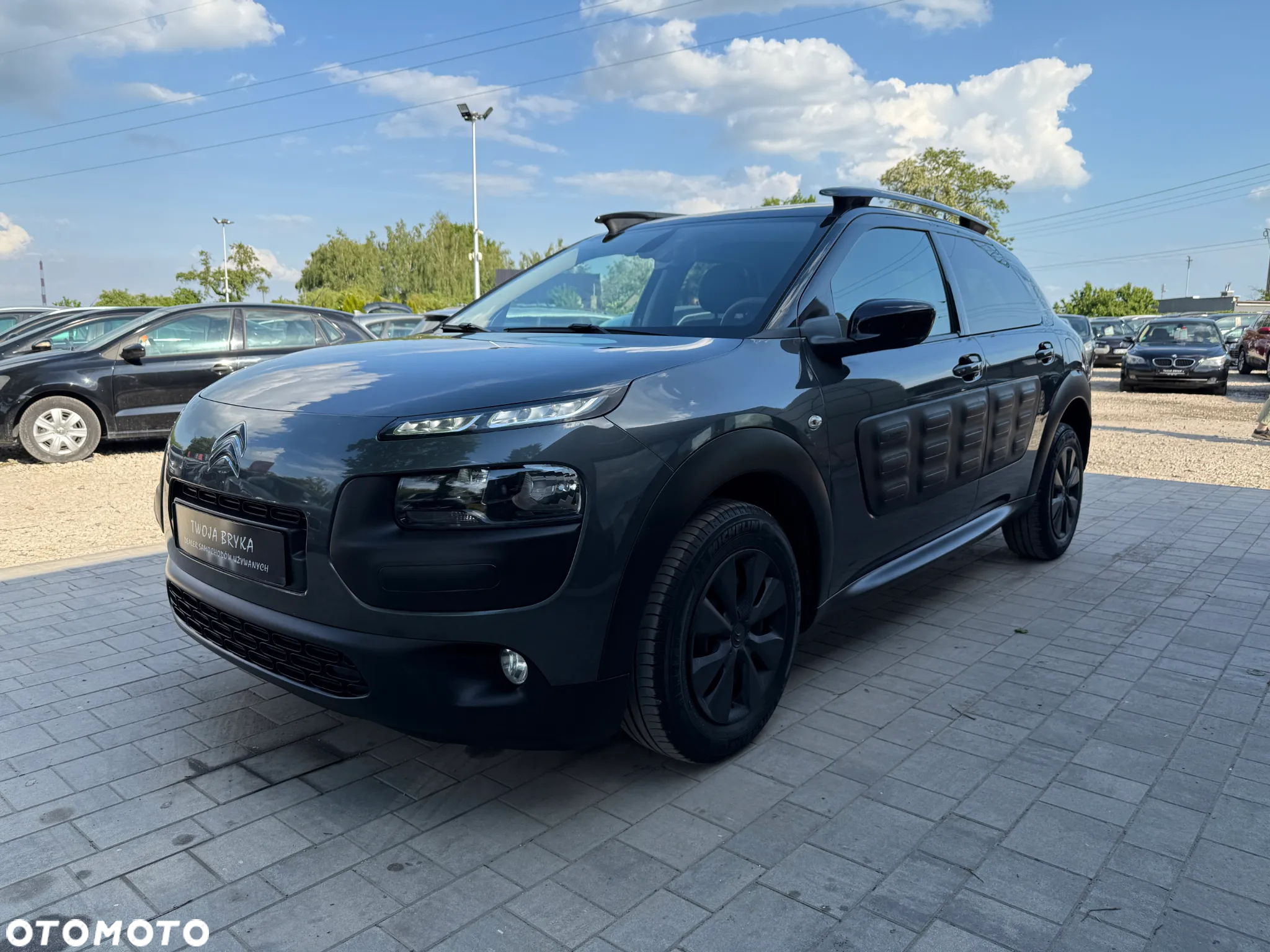 Citroën C4 Cactus BlueHDi 100 Stop&Start Business Class - 19