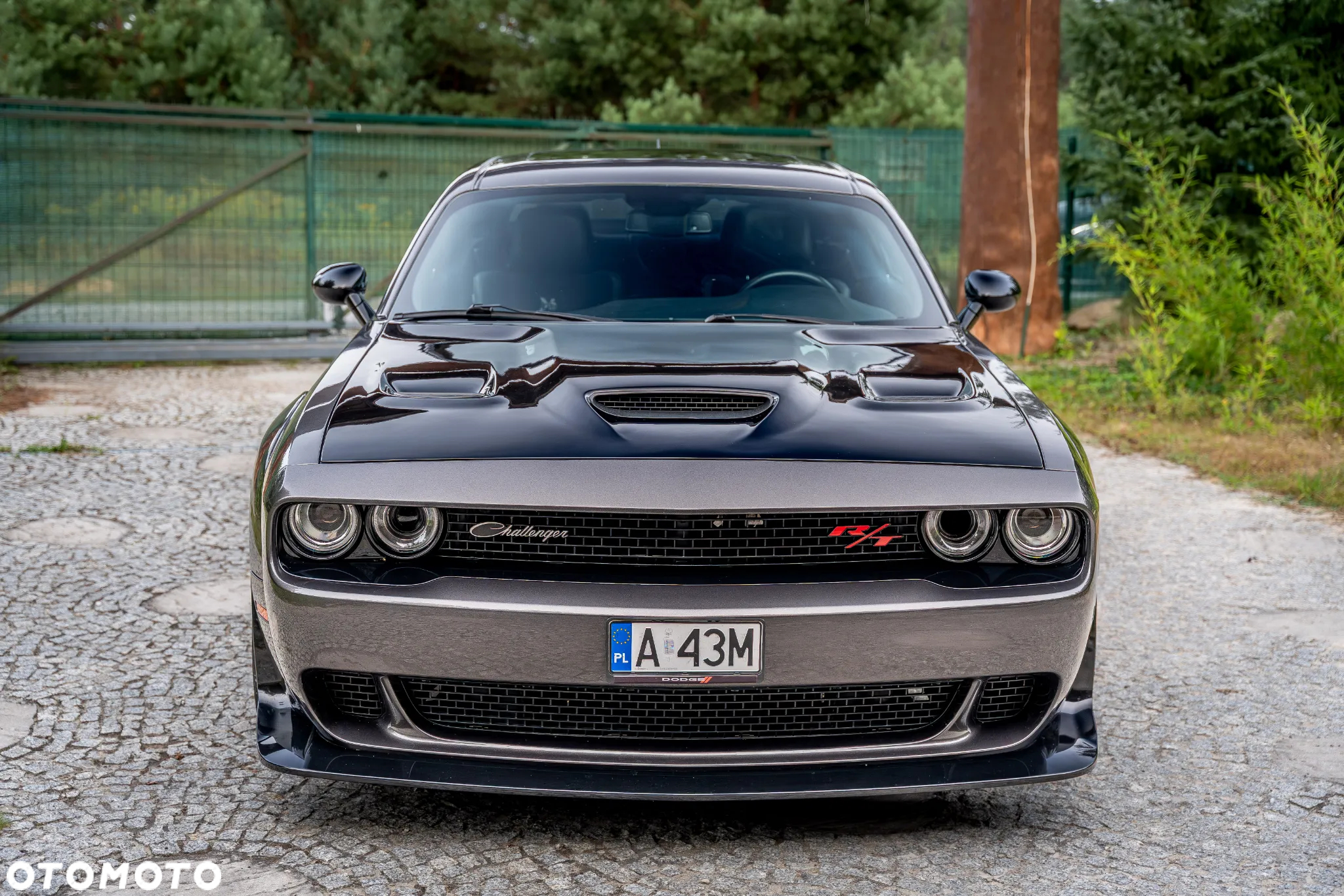 Dodge Challenger 6.4 Scat PackWidebody - 7