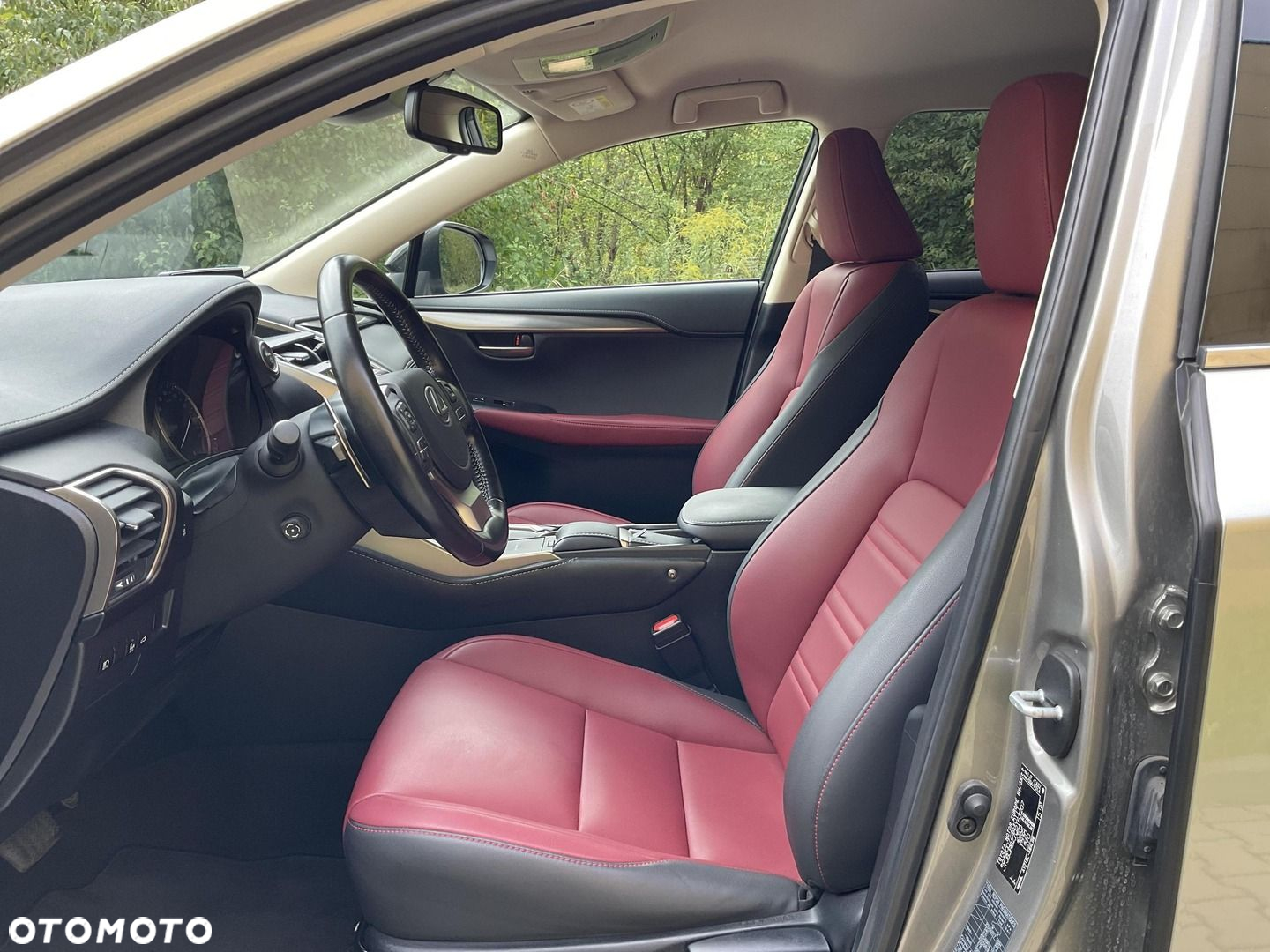 Lexus NX 300h F Impression AWD - 9