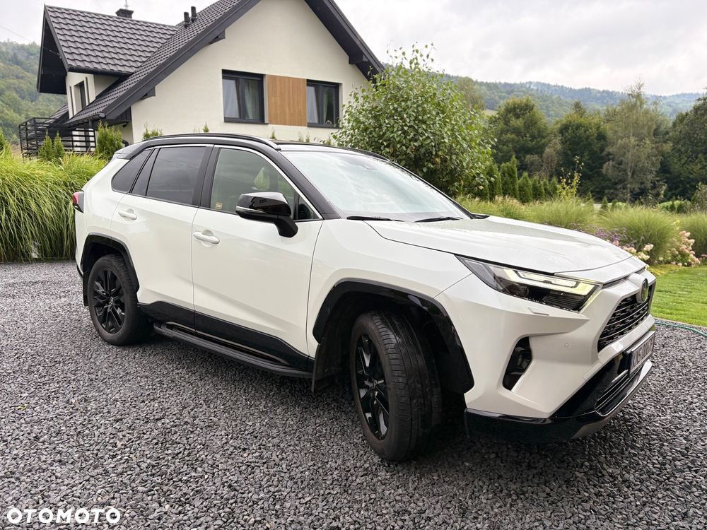 Toyota RAV4 - 18