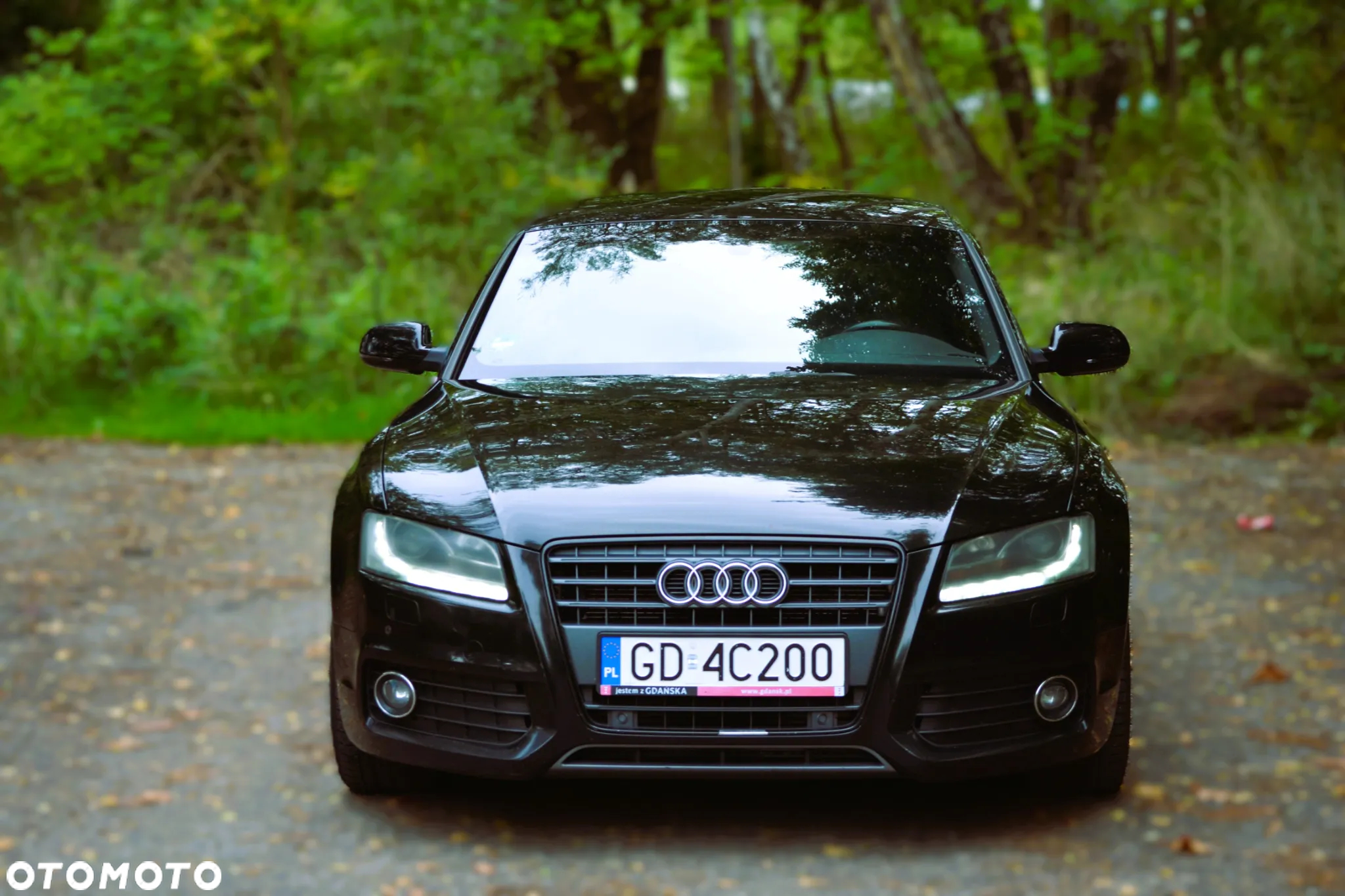 Audi A5 Sportback 2.0 TDI - 14