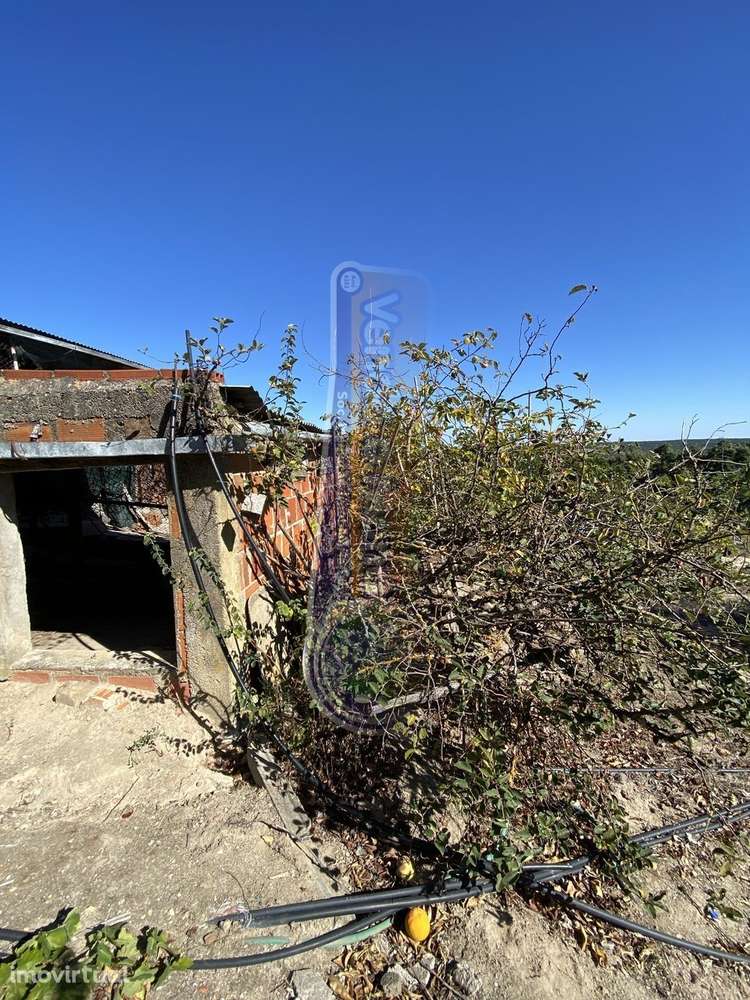 Armazém com Terreno em Brotas (MOR078) - Grande imagem: 4/15