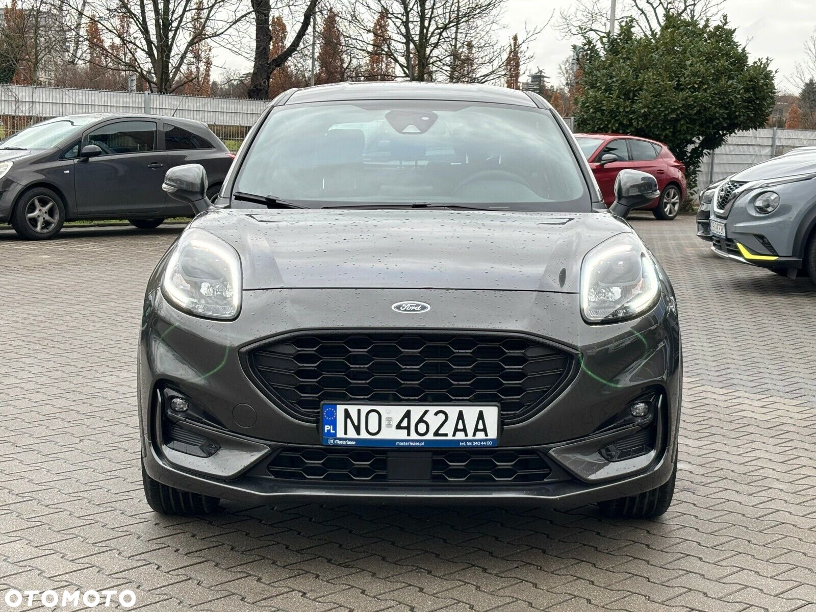 Ford Puma - 8