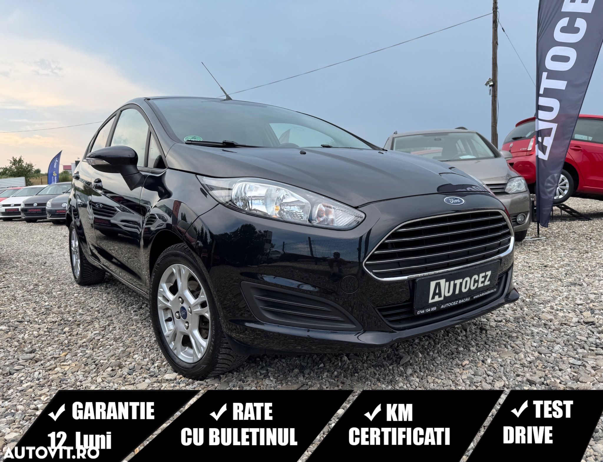 Ford Fiesta - 1