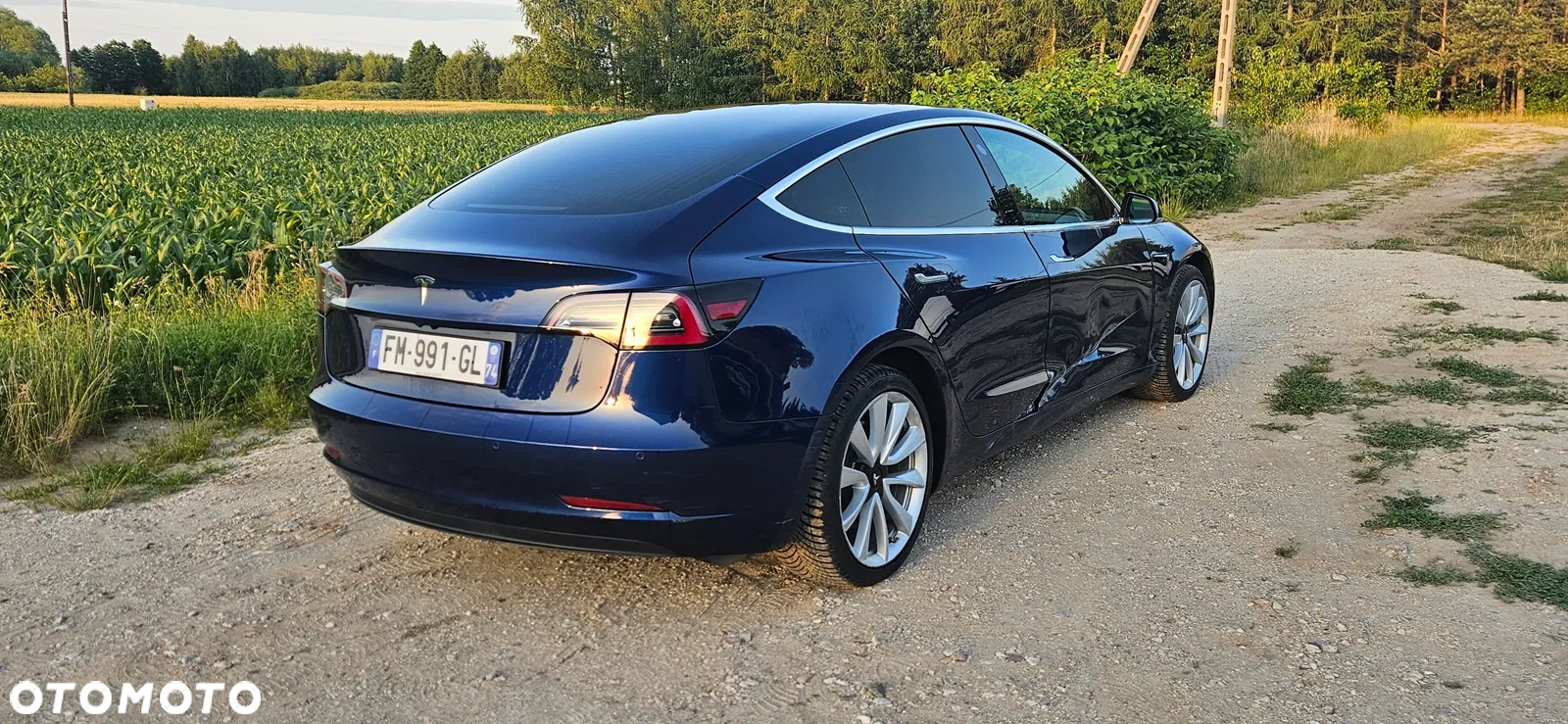 Tesla Model 3 Langstreckenbatterie Allradantrieb Dual Motor - 3