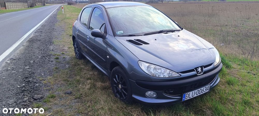 Peugeot 206 - 6