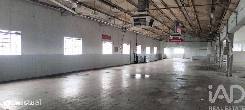 Hangar em Escapães de 3300,00 m2 - Grande imagem: 4/30