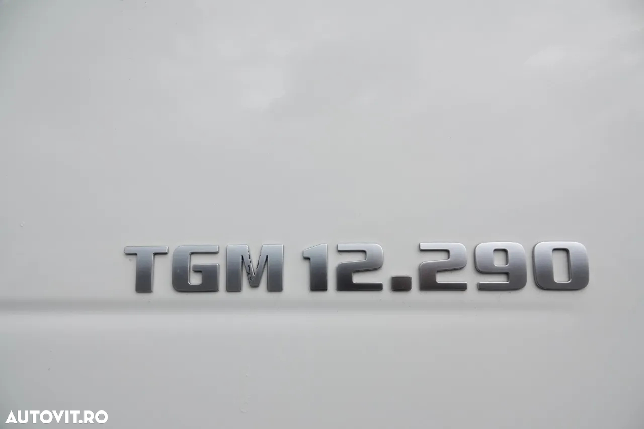 MAN TGM 12.290 / 4x2 / FRIGIDER 6.5 M / THERMO KING T-600 R UNIT / LIFT DE ÎNCĂRCARE DHOLLANDIA / IMPORTAT - 21
