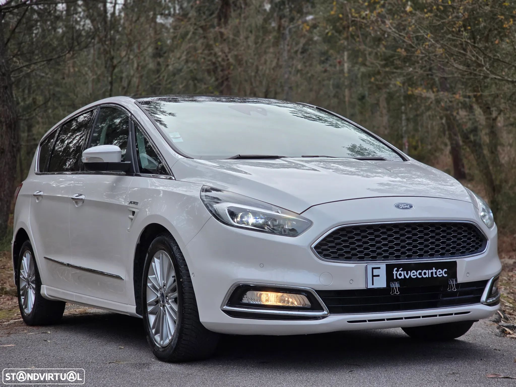 Ford S-Max 2.0 TDCi Vignale Powershift - 1