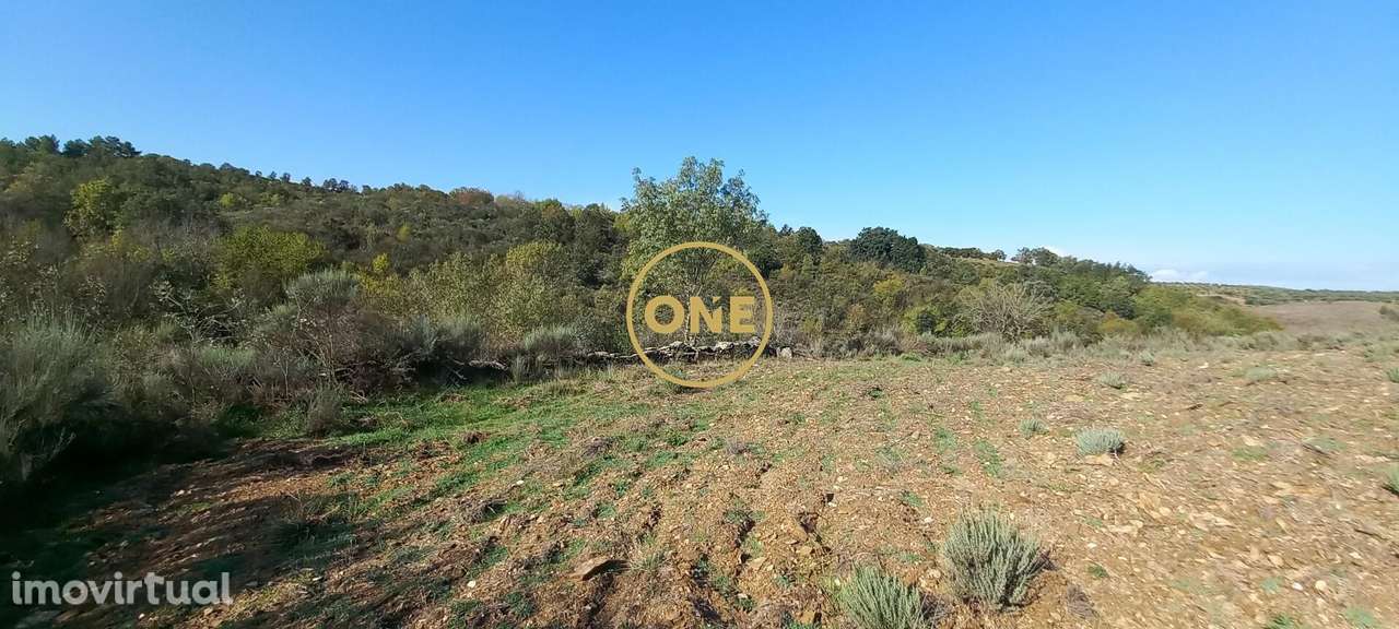 Terreno rústico/agrícola com 1,7 hectares, em Argozelo, Vimioso, Braga - Grande imagem: 3/17