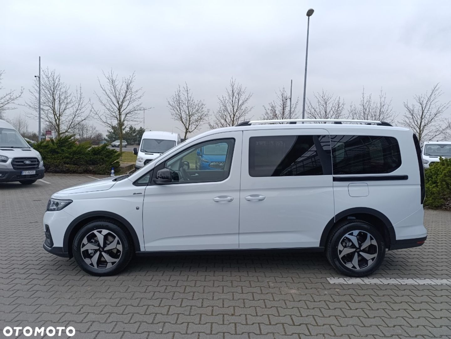 Ford Transit Connect - 3
