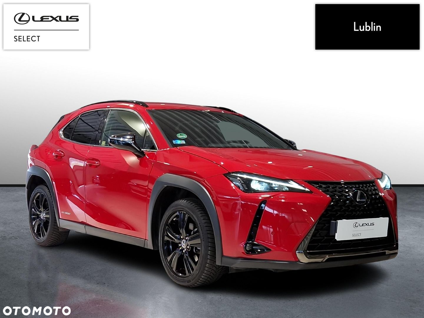 Lexus UX 250h GPF F Impression 2WD - 7