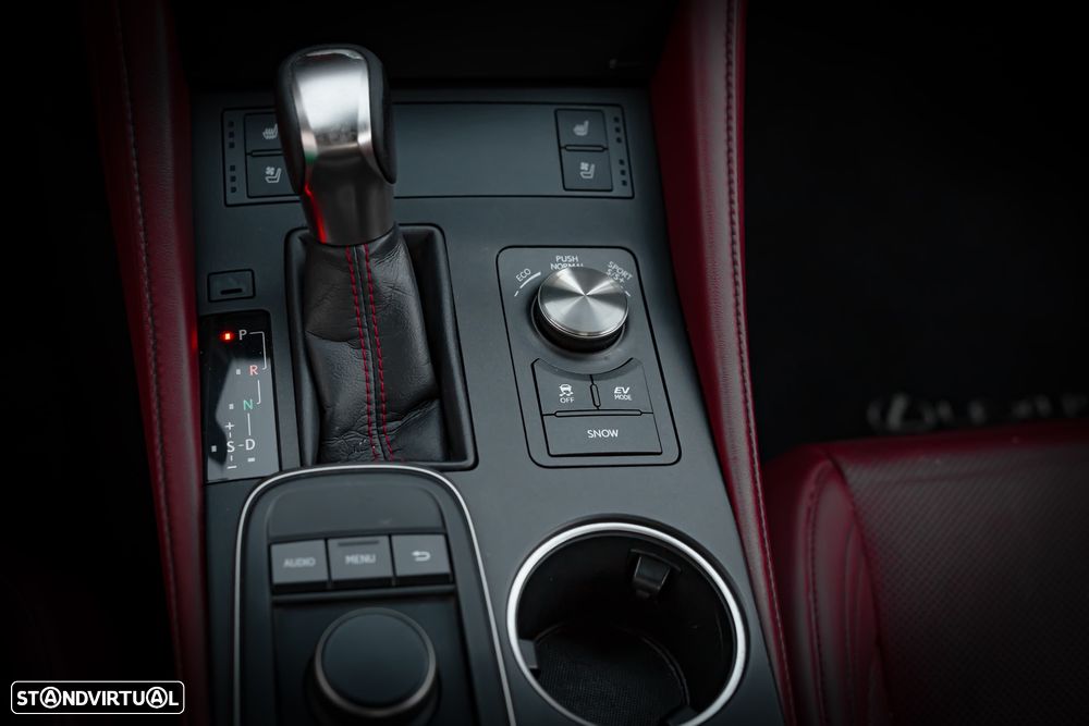 Lexus RC 300h F Sport+ - 49