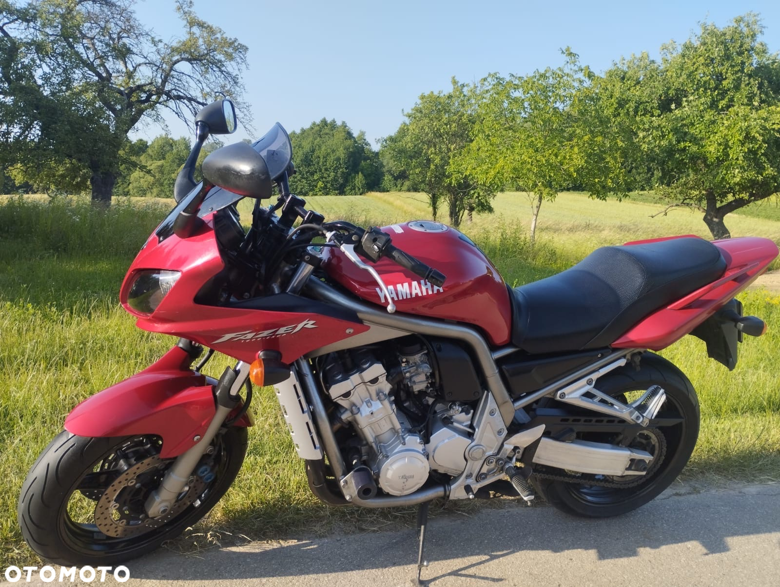 Yamaha FZS - 8