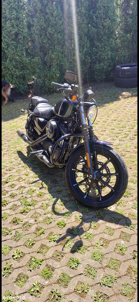 Harley-Davidson Sportster Iron 883 - 7