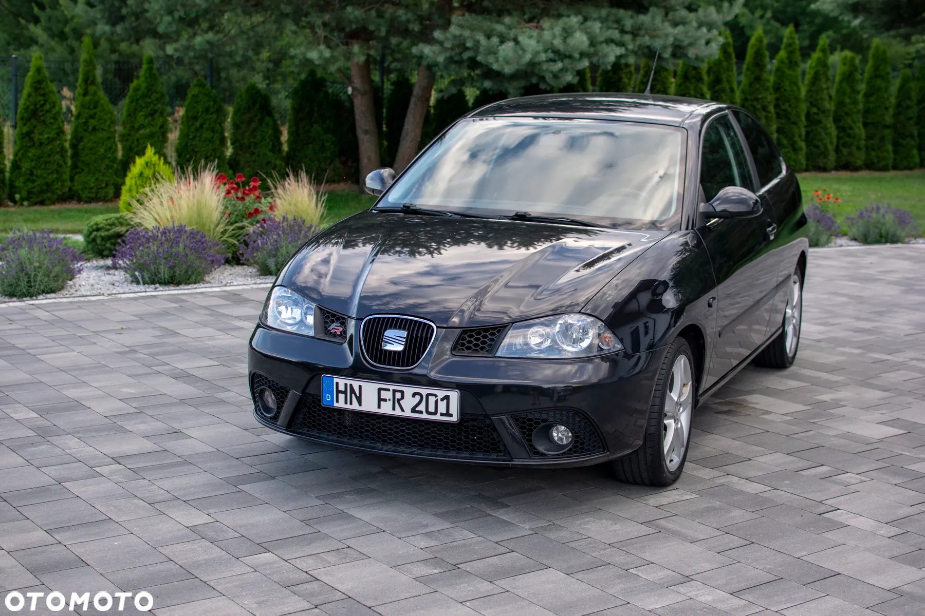 Seat Ibiza - 6