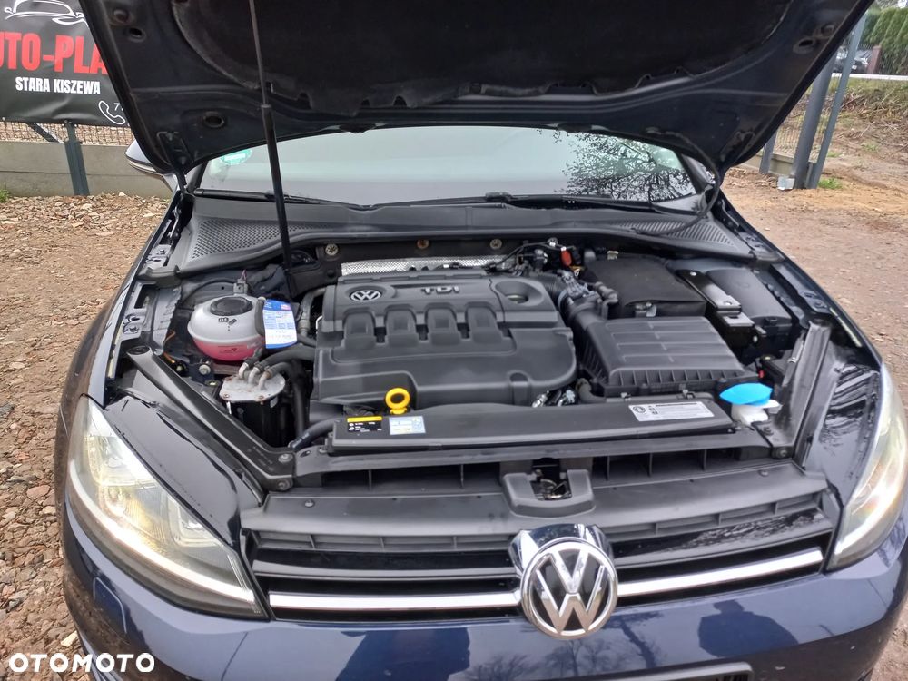 Volkswagen Golf 1.6 TDI BlueMotion Technology Lounge - 19