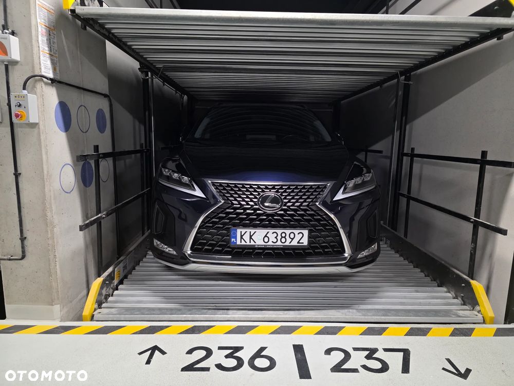 Lexus RX 300 Business Edition + - 6