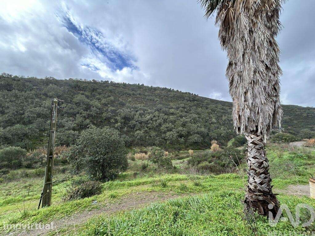 Quinta agricola em Cachopo - Grande imagem: 5/16