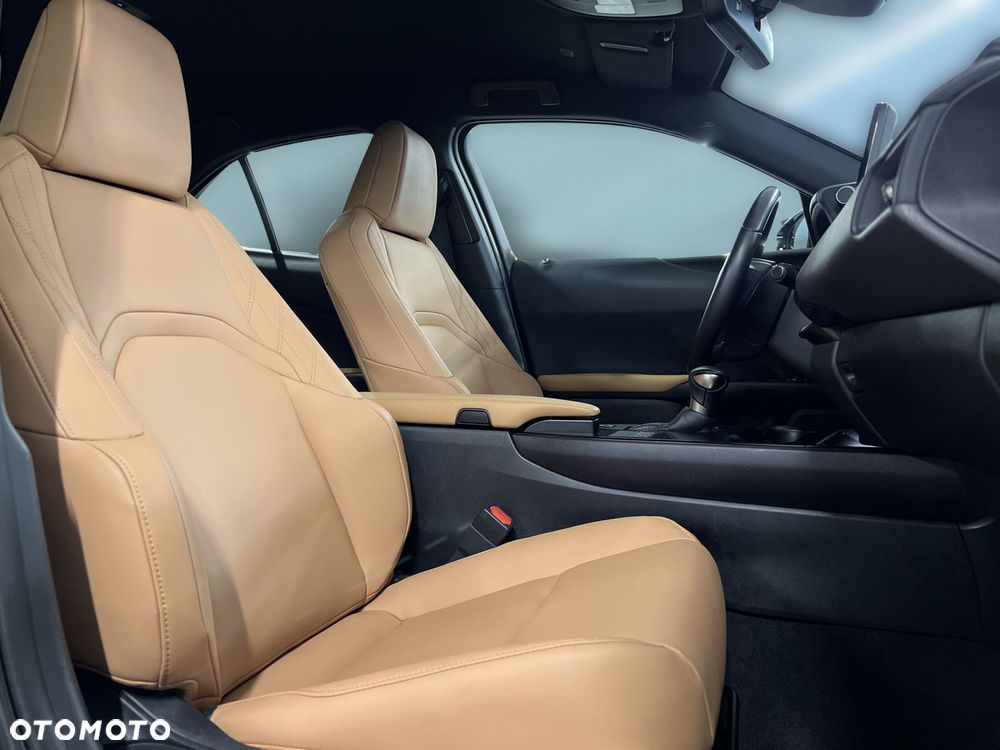 Lexus UX 250h GPF F Sport Design 2WD - 10