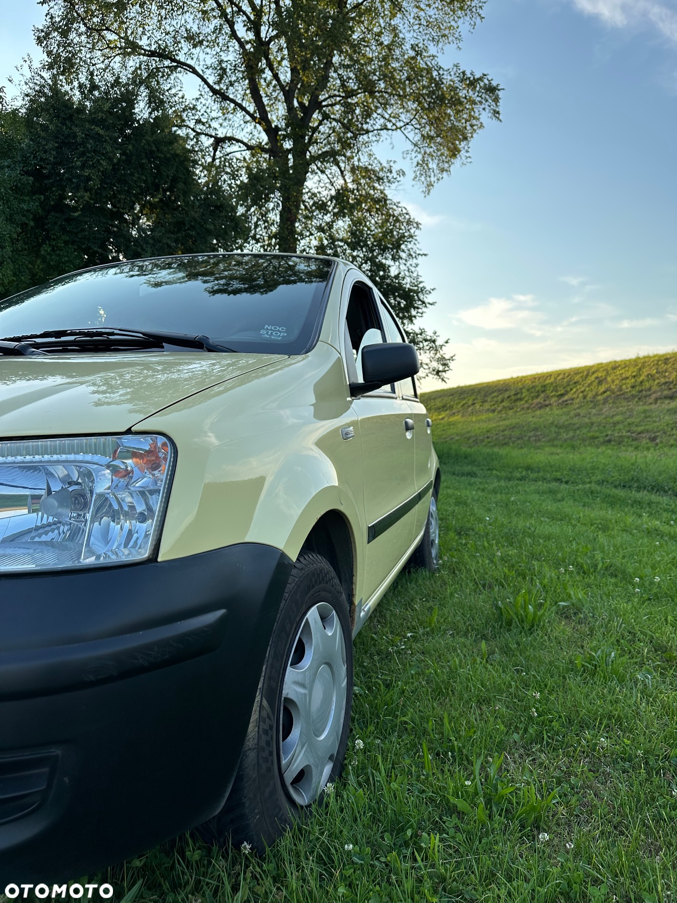 Fiat Panda - 6