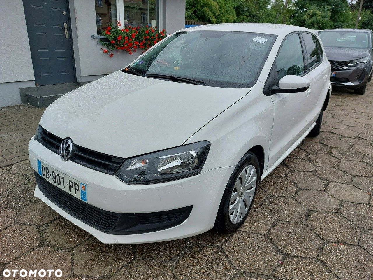 Volkswagen Polo - 7