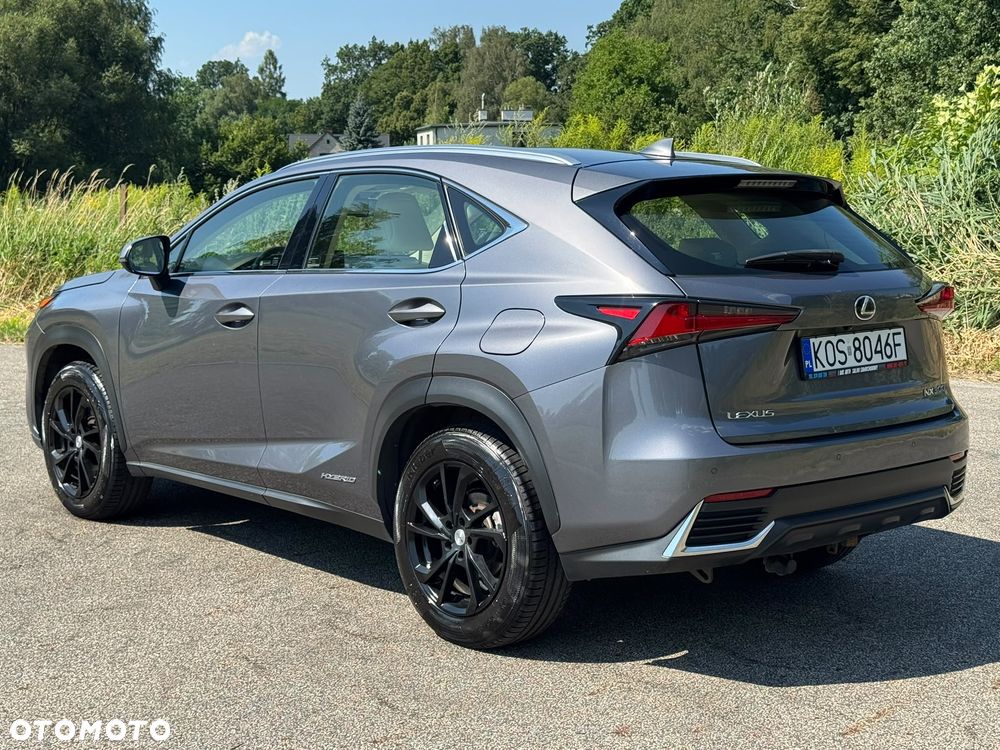 Lexus NX 300h Prestige AWD - 16