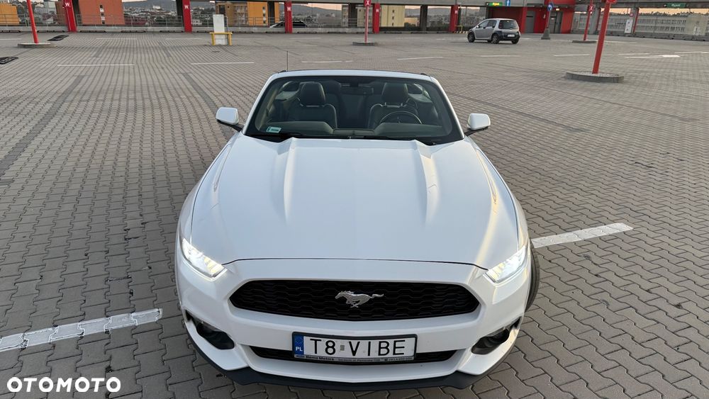 Ford Mustang - 34