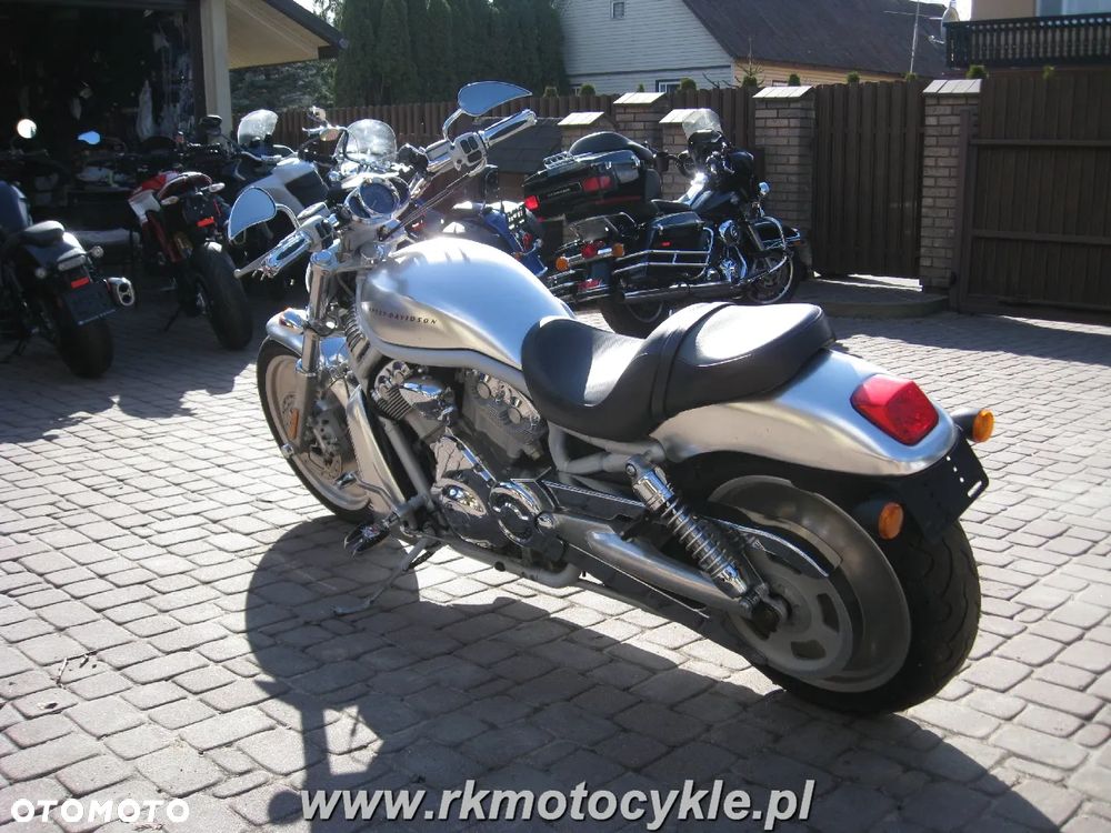 Harley-Davidson Softail V-Rod - 5