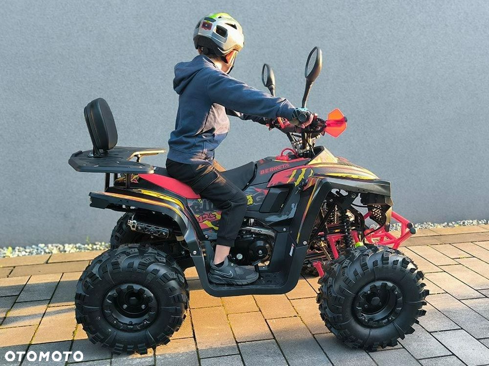 Berreta Bulldog - 15