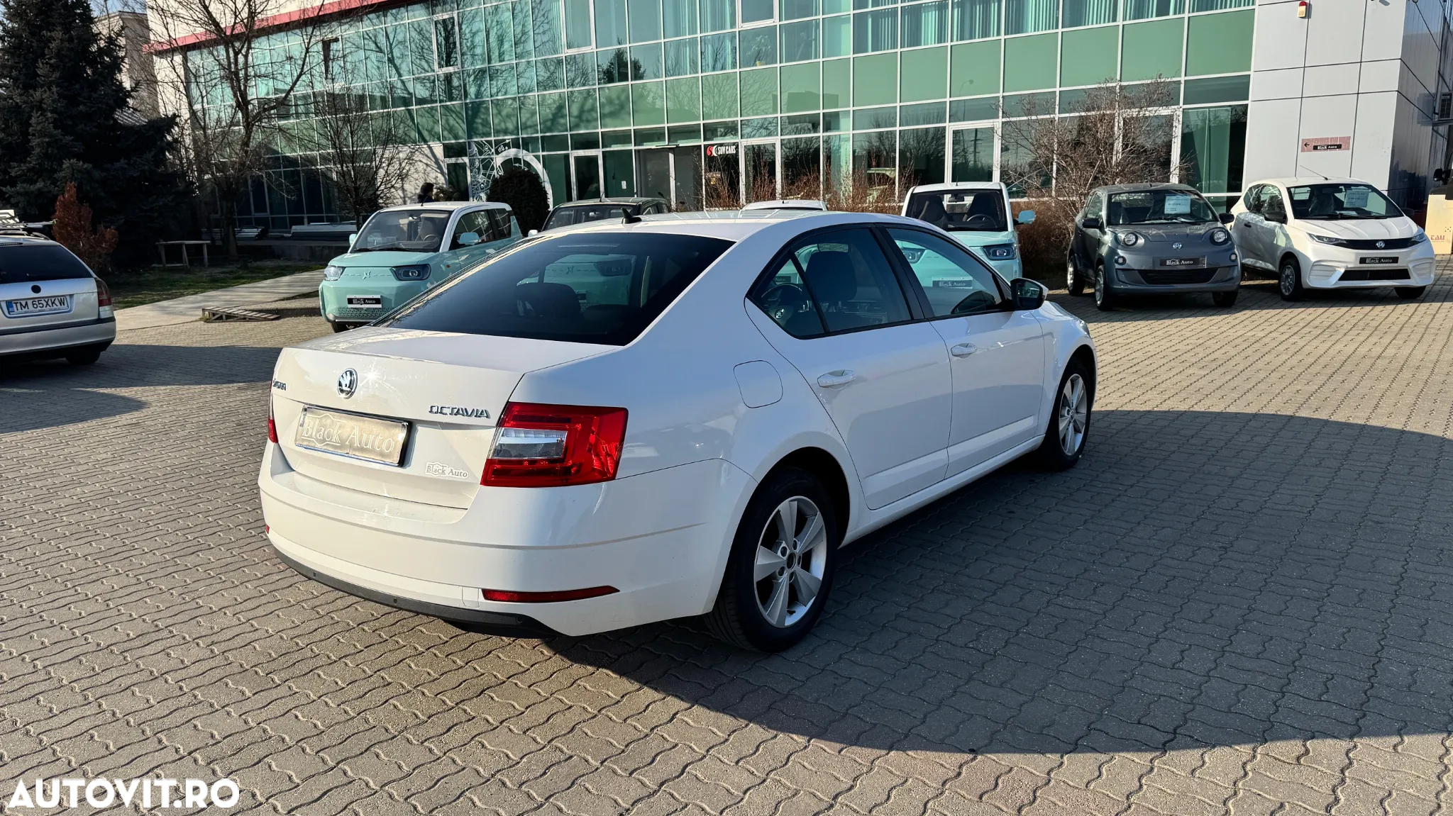 Skoda Octavia - 5