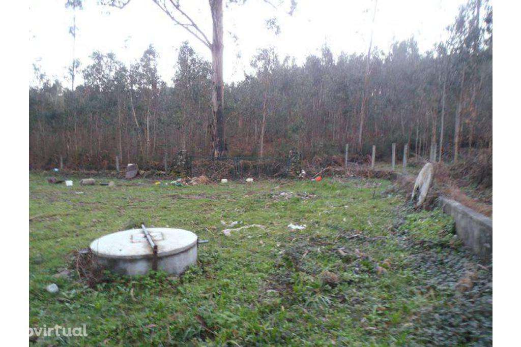 Armazém Ponte de Lima . Anais . A3 - investimento - Grande imagem: 5/5