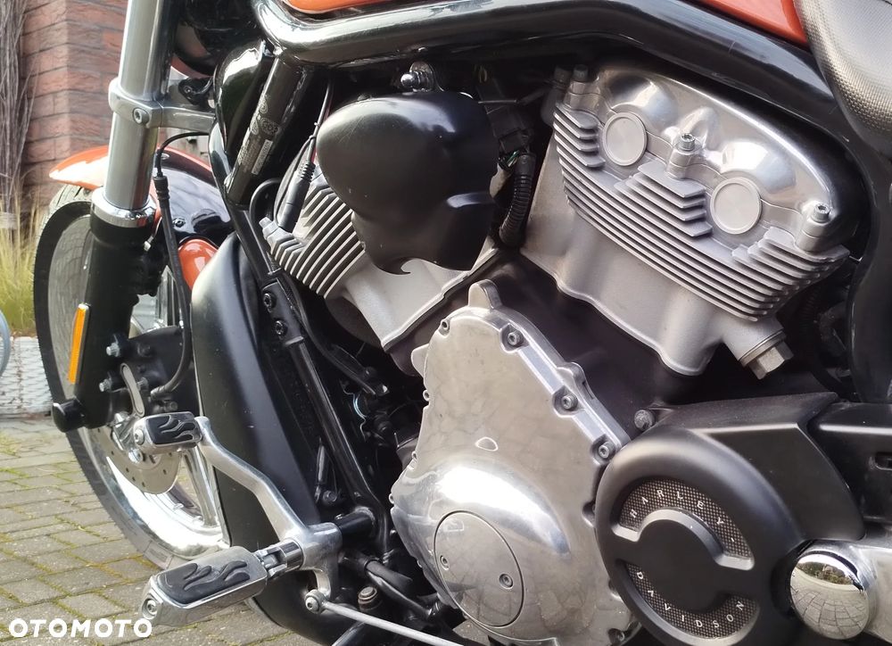 Harley-Davidson Softail V-Rod - 8
