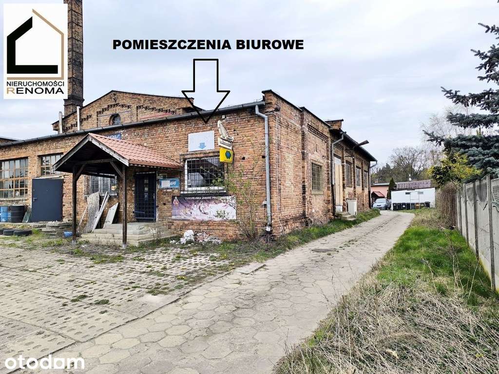pod działalność | budynek 445m2 | działka 1561m2 - Pełny obrazek: 3/16