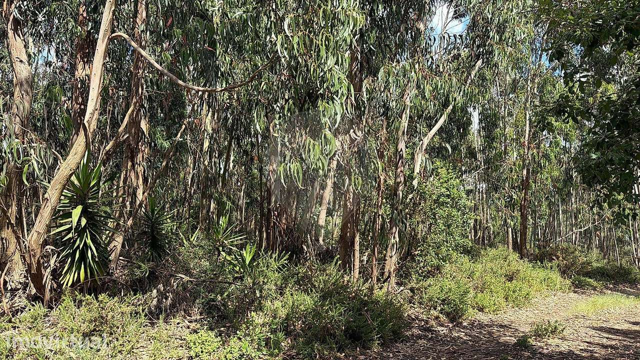 Terreno  para venda - Grande imagem: 2/3
