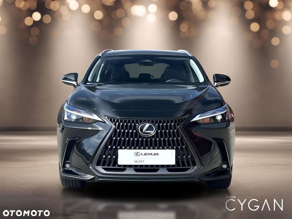 Lexus NX - 10