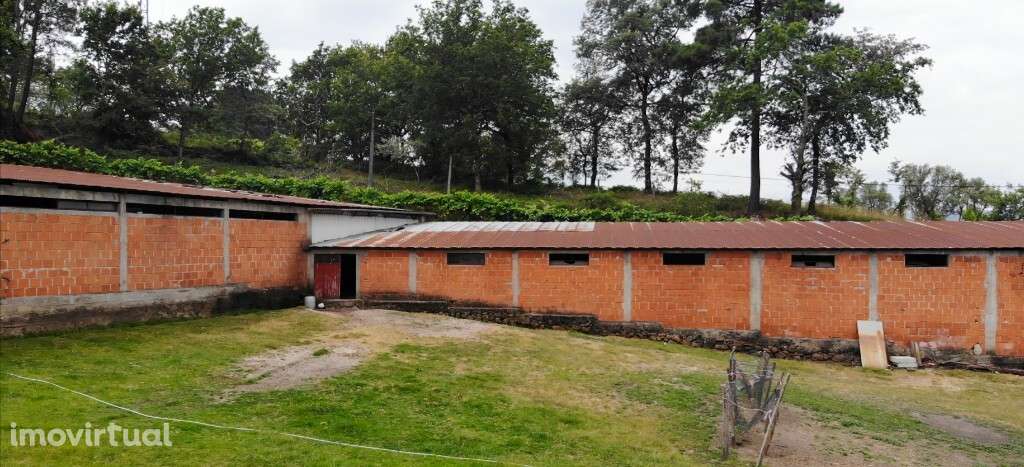 Terreno c/ Pavilhão Agrícola - Louredo - Grande imagem: 3/8