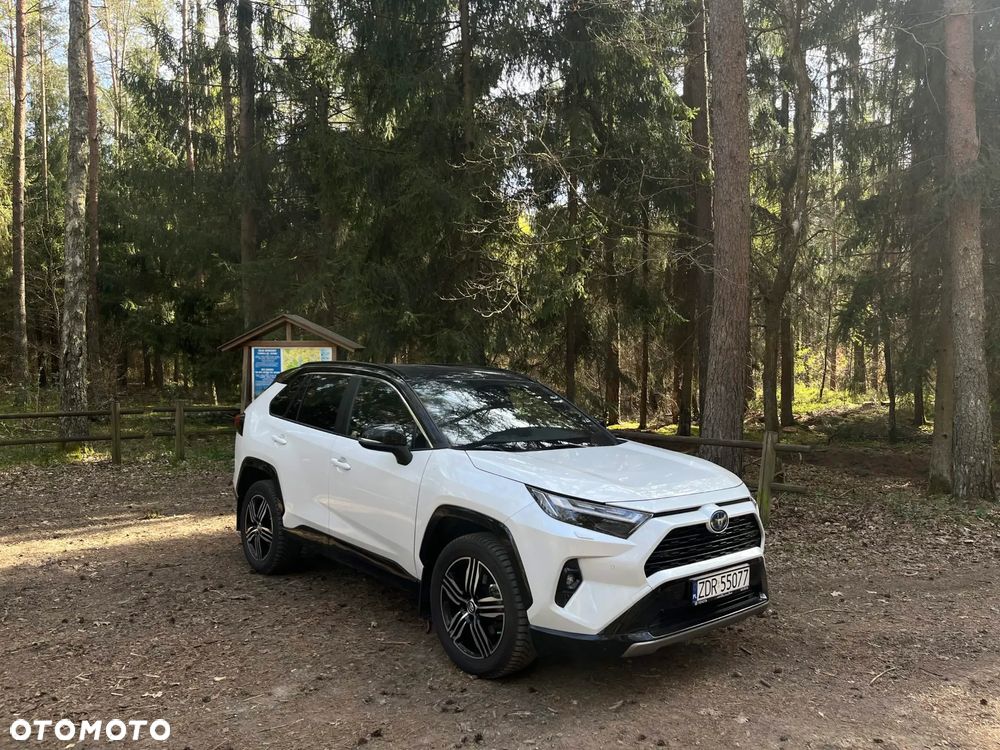 Toyota RAV4 2.5 Hybrid Selection 4x4 - 15