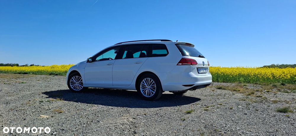 Volkswagen Golf 1.4 TSI BlueMotion Technology Cup - 14